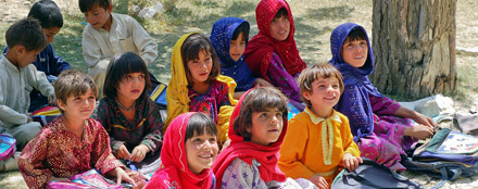 ddos压力测试网页端